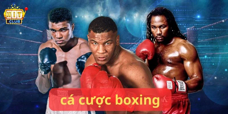 Cá Cược Boxing - Cơ Hội Thay Đổi Đột Phá Cùng Hitclub 1 Cá cược boxing