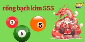 Cầu lô rồng bạch kim 555